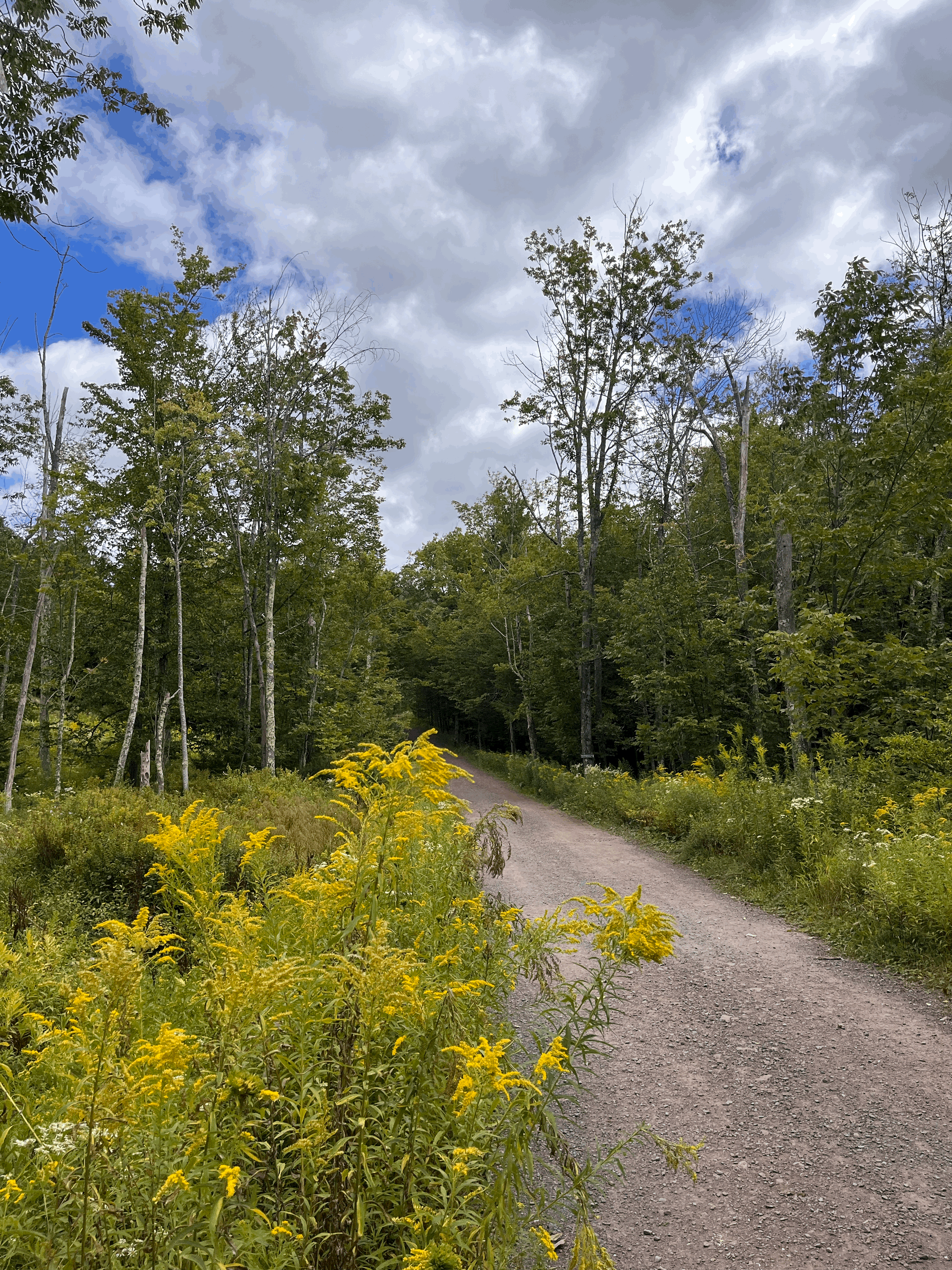 Field Trip: Mountain Top Arboretum