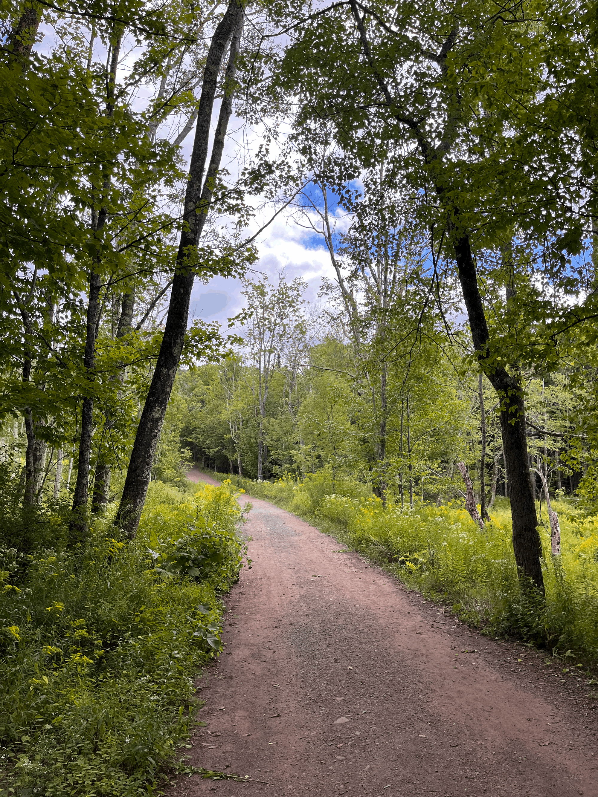 Field Trip: Mountain Top Arboretum