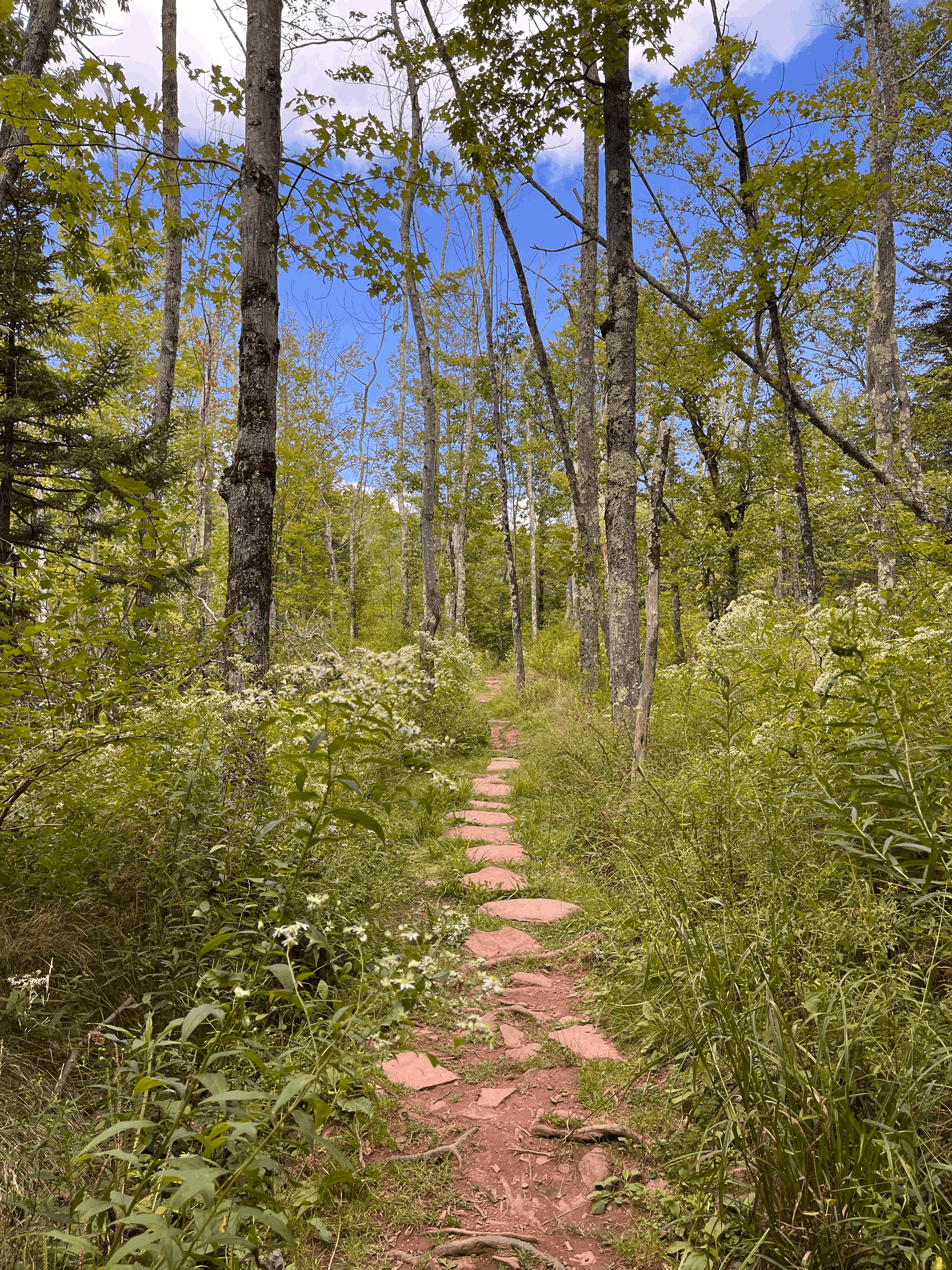Field Trip: Mountain Top Arboretum