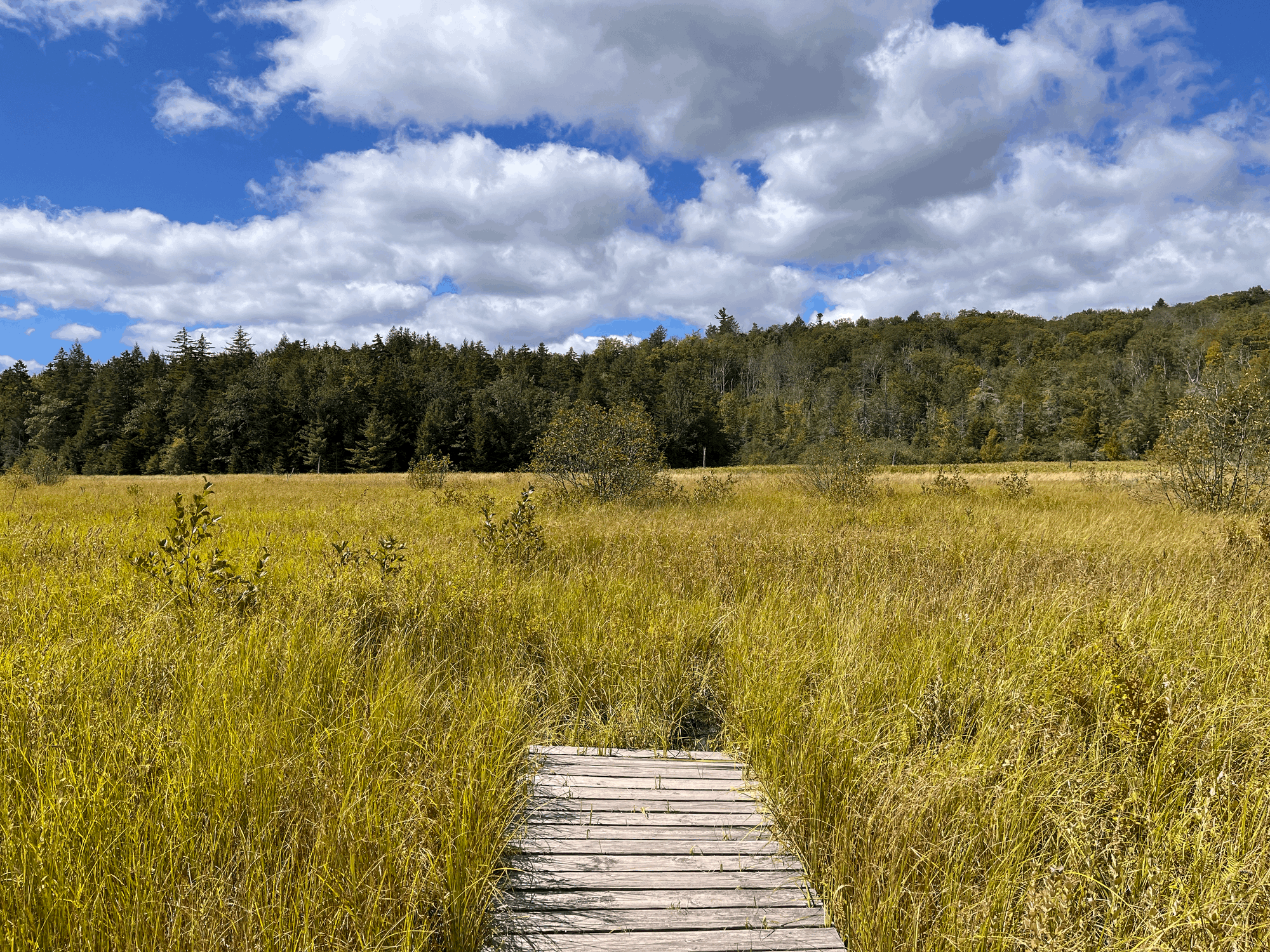 Field Trip: Mountain Top Arboretum