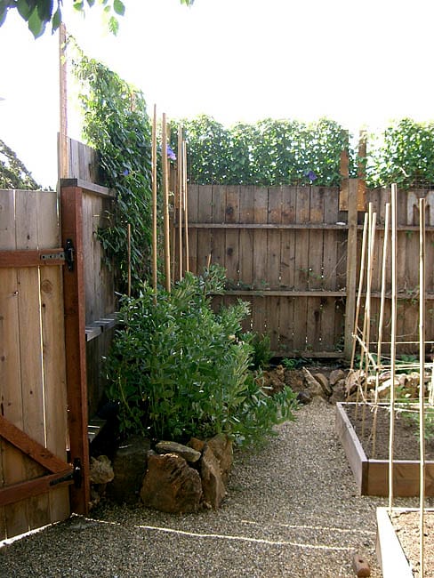 Ghosts of potagers past: California