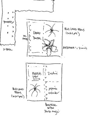 Ghosts of potagers past: California