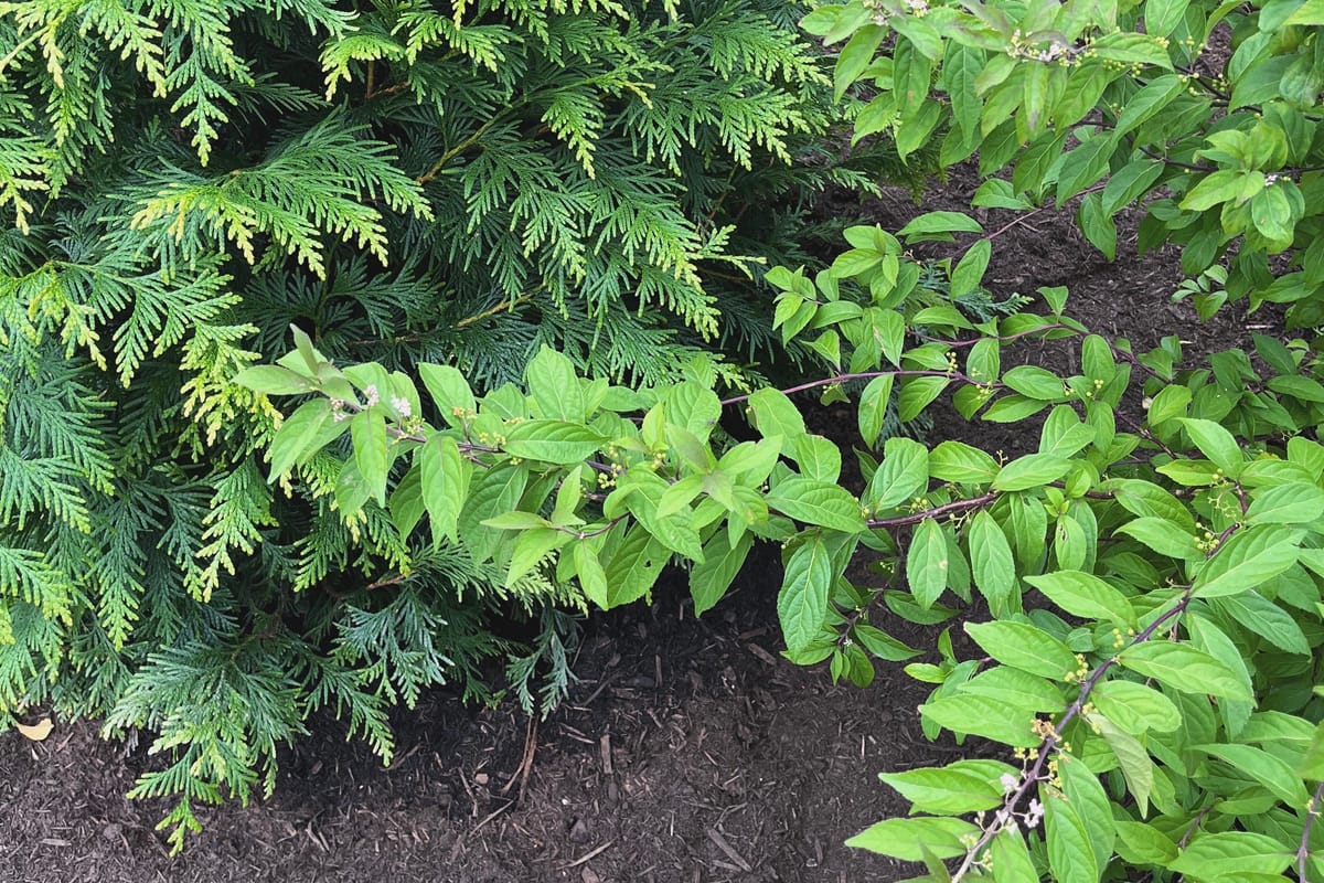 Q for You: What do you garden for?