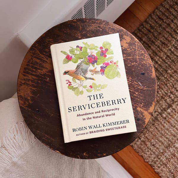 Hardback copy of The Serviceberry by Robin Wall Kimmerer on a worn wooden tabletop