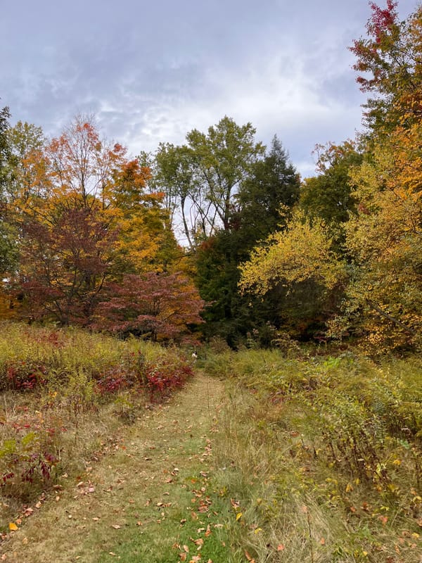 Linking About: Podcasts for gardening to, the loss of nature words and colors ...