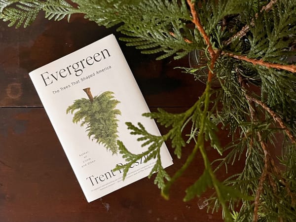Book Shelf: “Evergreen: The Trees That Shaped America” by Trent Preszler