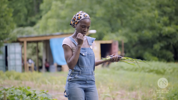 Linking About: Artful chicken coops, killer bugs, and restoration on every level